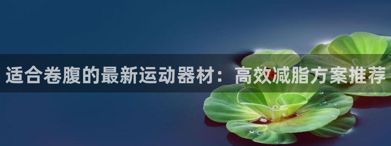 德国征途国际集团:适合卷腹的最新运动器材:高效减脂方案推荐