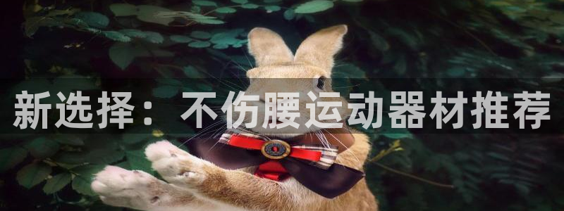 海南征途国际发展怎么样:新选择:不伤腰运动器材推荐