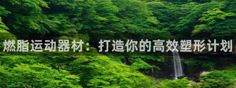 征途国际集团logo:燃脂运动器材:打造你的高效塑形计划