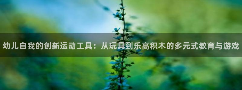 征途国际软件:幼儿自我的创新运动工具:从玩具到乐高积木的多元