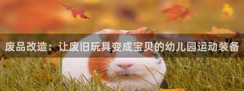 征途国际新能源:废品改造:让废旧玩具变成宝贝的幼儿园运动装备